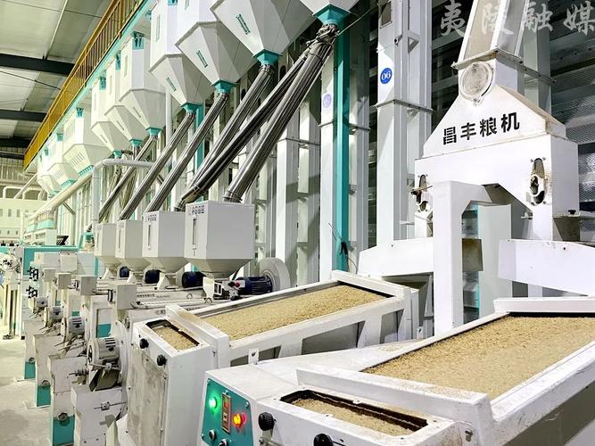 夷陵有机大米这样"炼"成