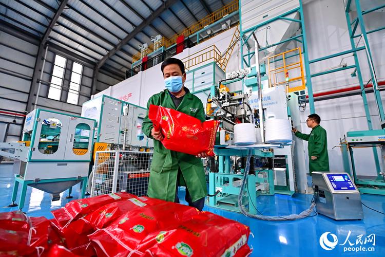 赣州蓉江新区的赣粮集团大米加工车间,工人在智能生产线上加工大米