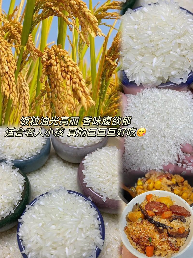 #东北大米 东北珍珠香米 #图文伙伴计划 油性大糯性强,口感 - 抖音